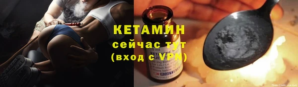сатива Бронницы