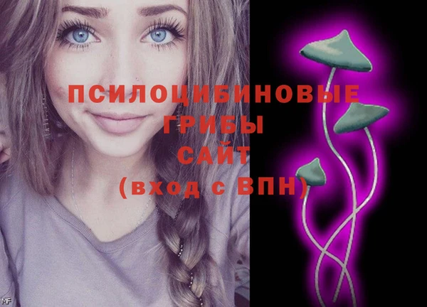 сатива Бронницы