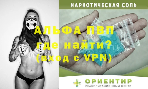 сатива Бронницы