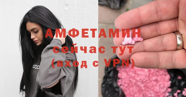 сатива Бронницы