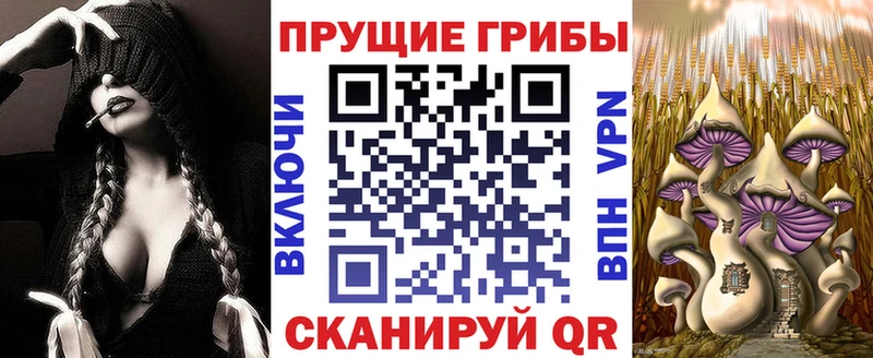 блэк спрут tor  Верхняя Пышма  Псилоцибиновые грибы мицелий 