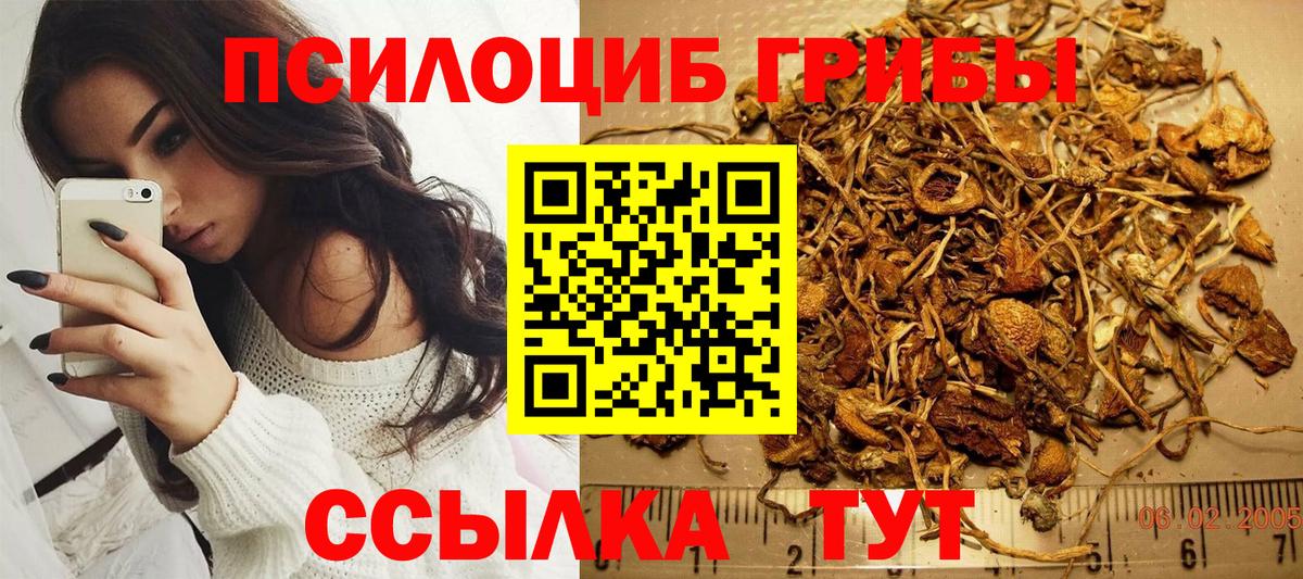 Галлюциногенные грибы Magic Shrooms Верхняя Пышма