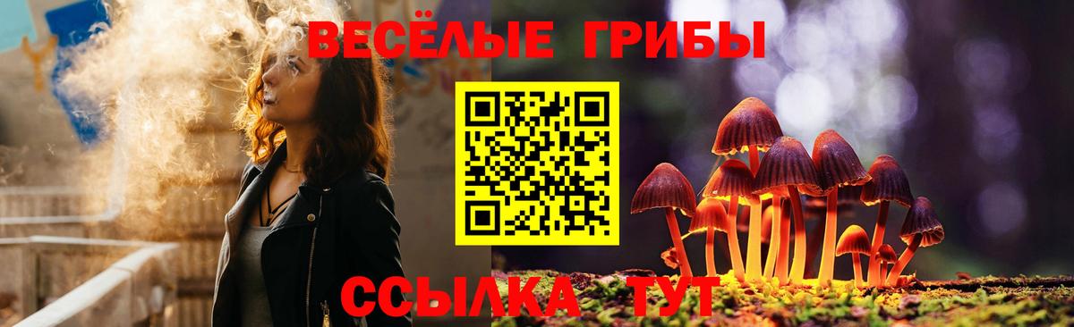 Псилоцибиновые грибы MAGIC MUSHROOMS  Вход с VPN  купить закладку  Верхняя Пышма 